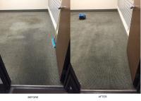 Wizard Carpet Cleaning image 7